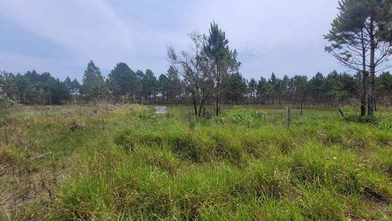 Terreno em Capão Novo: 1ª foto da galeria de imagens do imóvel