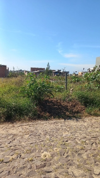 TERRENO PRAIA DO BARCO - LADO MAR: 2ª foto da galeria de imagens do imóvel