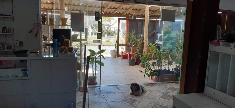 Estabelecimentos Comerciais com Residência nos Fundos: 4ª foto da galeria de imagens do imóvel