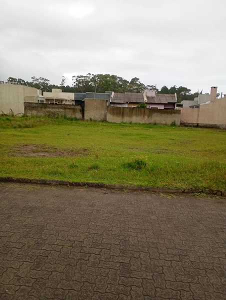 Terreno ótimo para você investir no bairro Guarani: 4ª foto da galeria de imagens do imóvel