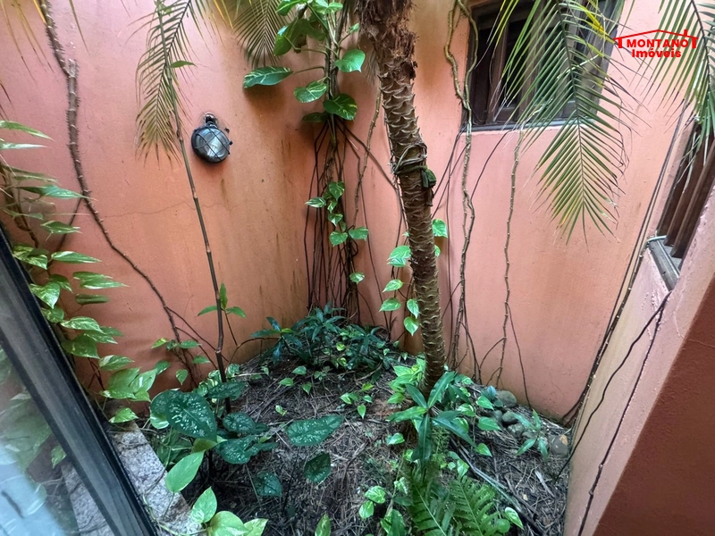 Imóvel único- composto por 03 terrenos: 2ª foto da galeria de imagens do imóvel