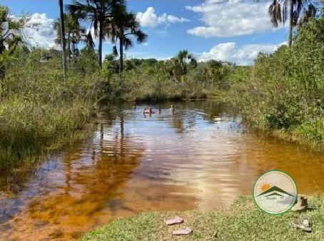 Fazenda 145,45 al (704 Ha), em Formoso-MG, ótima para agricultura.: 1ª foto da galeria de imagens do imóvel