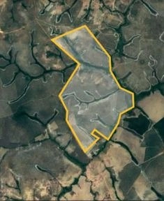 Fazenda 145,45 al (704 Ha), em Formoso-MG, ótima para agricultura.: 4ª foto da galeria de imagens do imóvel