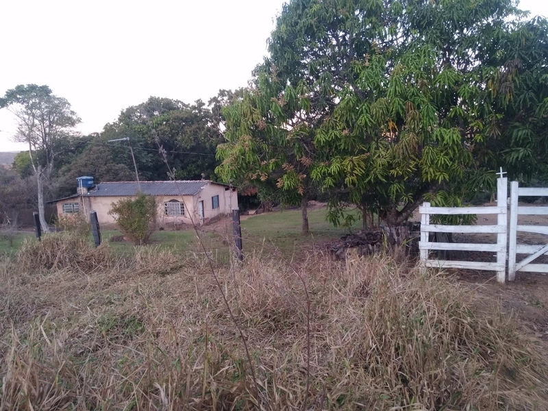 Chácara 5 alq (24,2 Ha), em Corumbá GO, com córrego aos fundos.: 8ª foto da galeria de imagens do imóvel