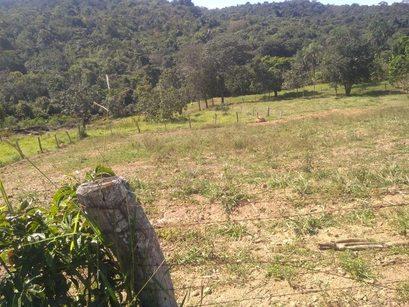 Chácara 6 alq (29,04 ha)em Alexânia GO, Ótima para lazer e trabalho: 1ª foto da galeria de imagens do imóvel