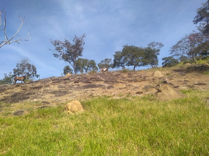 Chácara 6 alq (29,04 ha)em Alexânia GO, Ótima para lazer e trabalho: 11ª foto da galeria de imagens do imóvel