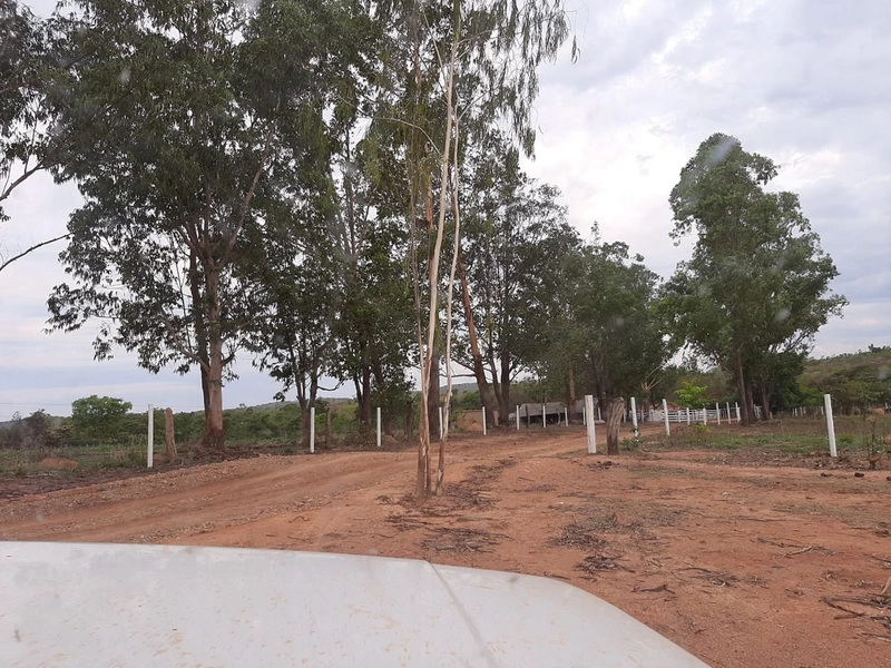 Fazenda 420,66 alqueires (2.036, Ha), em Unaí-MG, ÓTIMA PARA PECUÁRIA.: 3ª foto da galeria de imagens do imóvel
