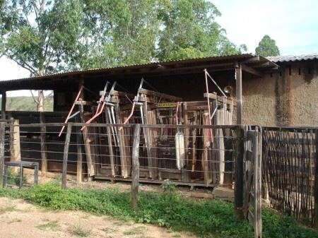 Fazenda 420,66 alqueires (2.036, Ha), em Unaí-MG, ÓTIMA PARA PECUÁRIA.: 5ª foto da galeria de imagens do imóvel