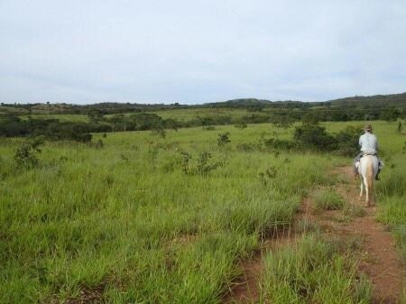 Fazenda 420,66 alqueires (2.036, Ha), em Unaí-MG, ÓTIMA PARA PECUÁRIA.: 6ª foto da galeria de imagens do imóvel