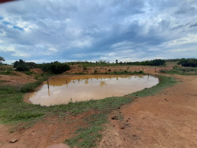 Fazenda 420,66 alqueires (2.036, Ha), em Unaí-MG, ÓTIMA PARA PECUÁRIA.: 2ª foto da galeria de imagens do imóvel