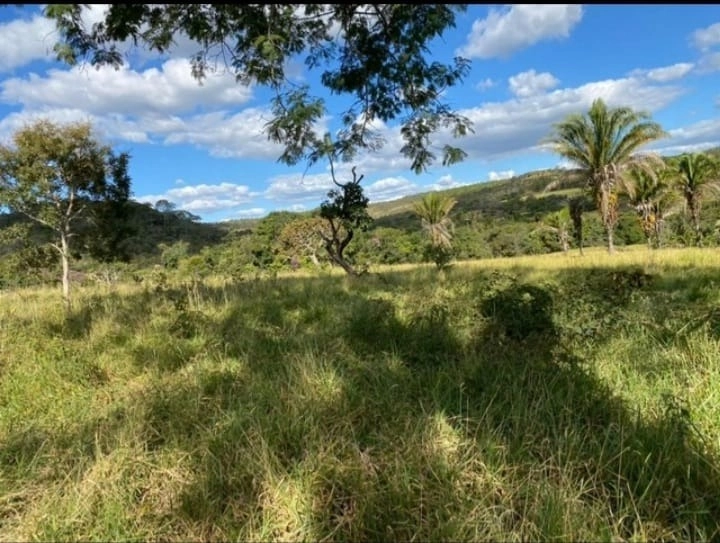 Fazenda 43 alqueires (208,12 Ha), em Cocalzinho-GO, dupla aptidão.: 4ª foto da galeria de imagens do imóvel