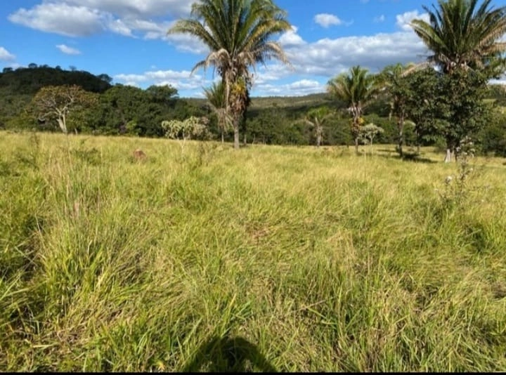 Fazenda 43 alqueires (208,12 Ha), em Cocalzinho-GO, dupla aptidão.: 3ª foto da galeria de imagens do imóvel