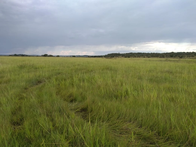 Fazenda 400 alqueires (1.936 Ha), em Formosa-GO, Dupla aptidão.: 2ª foto da galeria de imagens do imóvel