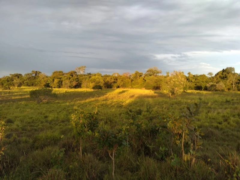 Fazenda 400 alqueires (1.936 Ha), em Formosa-GO, Dupla aptidão.: 10ª foto da galeria de imagens do imóvel