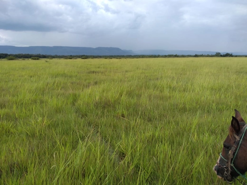 Fazenda 400 alqueires (1.936 Ha), em Formosa-GO, Dupla aptidão.: 16ª foto da galeria de imagens do imóvel