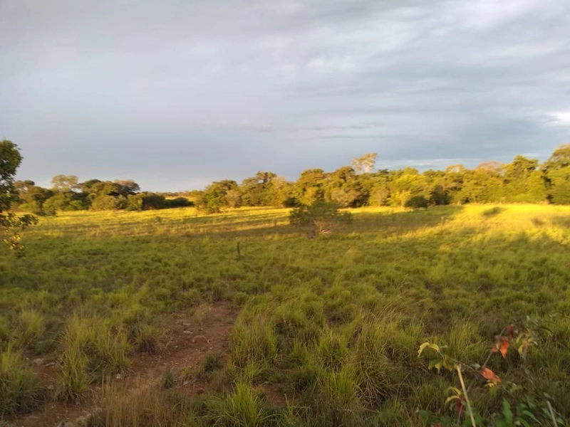 Fazenda 400 alqueires (1.936 Ha), em Formosa-GO, Dupla aptidão.: 22ª foto da galeria de imagens do imóvel