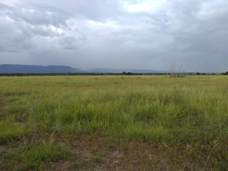 Fazenda 400 alqueires (1.936 Ha), em Formosa-GO, Dupla aptidão.: 5ª foto da galeria de imagens do imóvel
