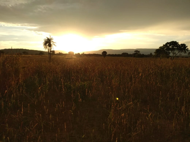 Fazenda 400 alqueires (1.936 Ha), em Formosa-GO, Dupla aptidão.: 7ª foto da galeria de imagens do imóvel