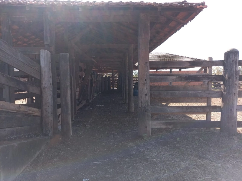Fazenda 197 alqueires ( 953 Ha), em Vila Boa-GO, dupla aptidão.: 8ª foto da galeria de imagens do imóvel