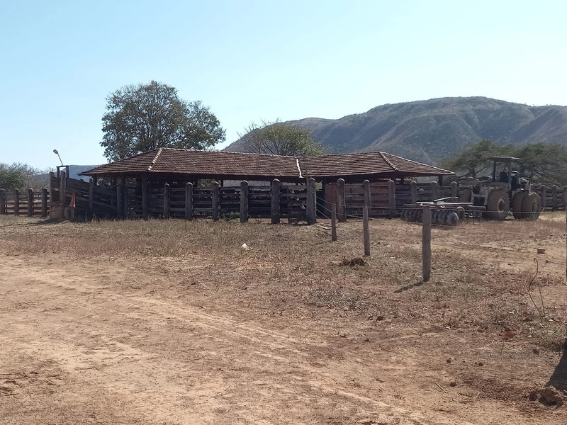 Fazenda 197 alqueires ( 953 Ha), em Vila Boa-GO, dupla aptidão.: 1ª foto da galeria de imagens do imóvel