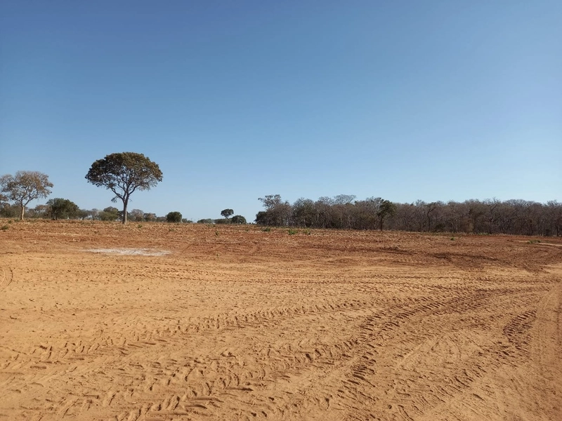 Fazenda 197 alqueires ( 953 Ha), em Vila Boa-GO, dupla aptidão.: 7ª foto da galeria de imagens do imóvel