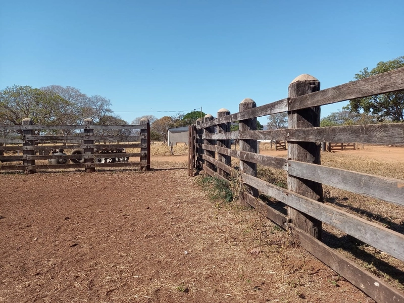 Fazenda 197 alqueires ( 953 Ha), em Vila Boa-GO, dupla aptidão.: 5ª foto da galeria de imagens do imóvel