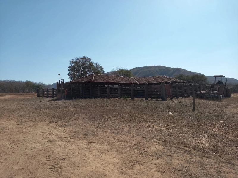 Fazenda 197 alqueires ( 953 Ha), em Vila Boa-GO, dupla aptidão.: 3ª foto da galeria de imagens do imóvel