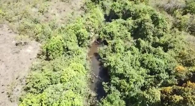 Fazenda 78 alqueires (377 ha), em São João D’Aliança-GO, dupla apti: 7ª foto da galeria de imagens do imóvel