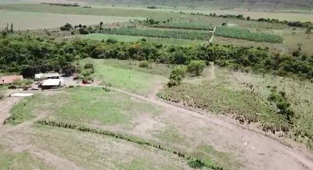 Fazenda 78 alqueires (377 ha), em São João D’Aliança-GO, dupla apti: 4ª foto da galeria de imagens do imóvel