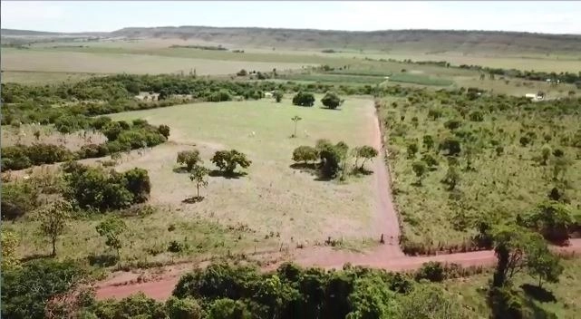 Fazenda 78 alqueires (377 ha), em São João D’Aliança-GO, dupla apti: 14ª foto da galeria de imagens do imóvel