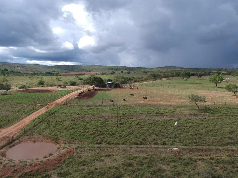 Fazenda 53,72 alqueires (260 Ha), em Alto Paraiso-GO, dupla aptidão.: 24ª foto da galeria de imagens do imóvel