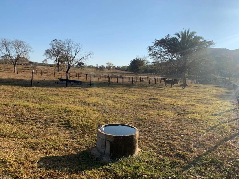 Fazenda 53,72 alqueires (260 Ha), em Alto Paraiso-GO, dupla aptidão.: 19ª foto da galeria de imagens do imóvel