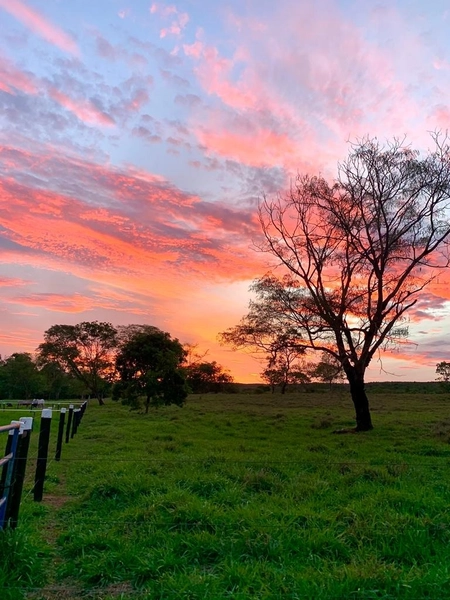 Fazenda 53,72 alqueires (260 Ha), em Alto Paraiso-GO, dupla aptidão.: 23ª foto da galeria de imagens do imóvel