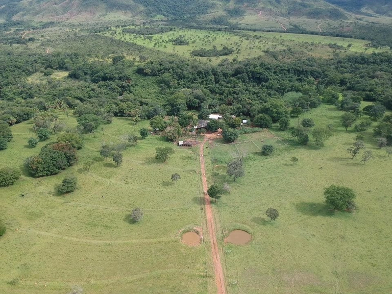 Fazenda 53,72 alqueires (260 Ha), em Alto Paraiso-GO, dupla aptidão.: 16ª foto da galeria de imagens do imóvel