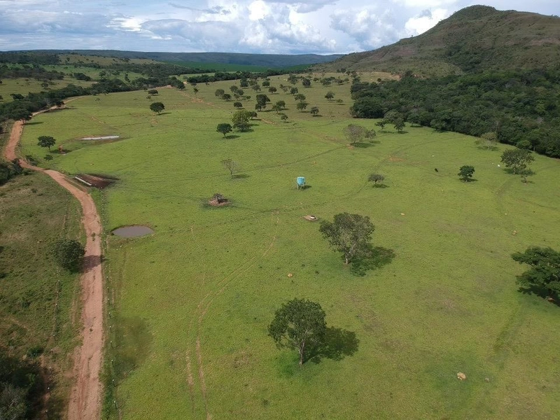 Fazenda 53,72 alqueires (260 Ha), em Alto Paraiso-GO, dupla aptidão.: 10ª foto da galeria de imagens do imóvel