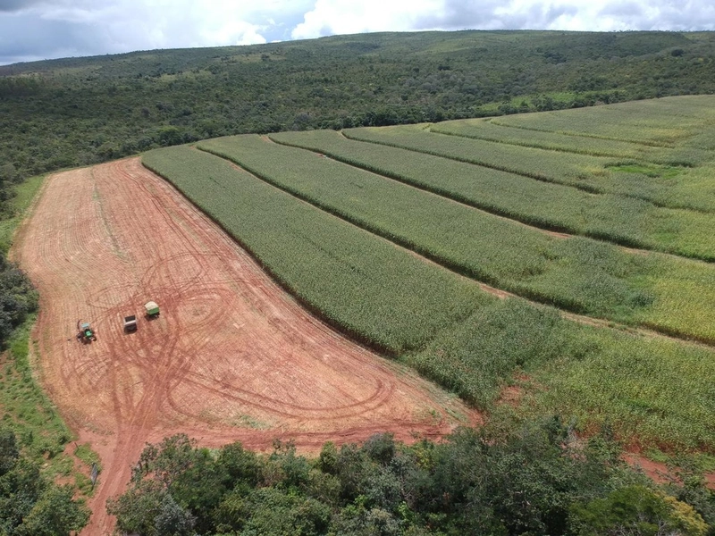 Fazenda 53,72 alqueires (260 Ha), em Alto Paraiso-GO, dupla aptidão.: 30ª foto da galeria de imagens do imóvel