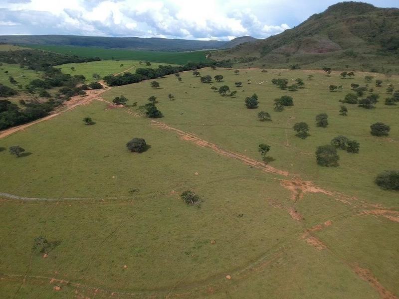 Fazenda 53,72 alqueires (260 Ha), em Alto Paraiso-GO, dupla aptidão.: 8ª foto da galeria de imagens do imóvel