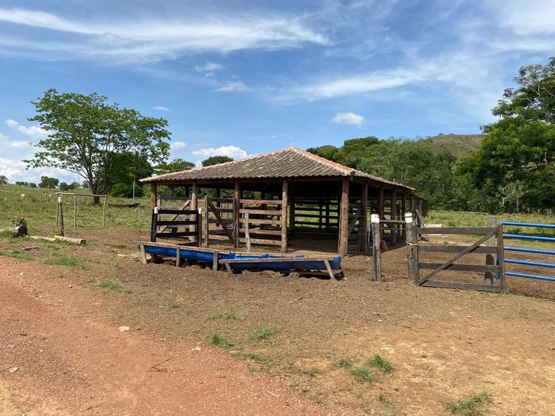 Fazenda 53,72 alqueires (260 Ha), em Alto Paraiso-GO, dupla aptidão.: 25ª foto da galeria de imagens do imóvel