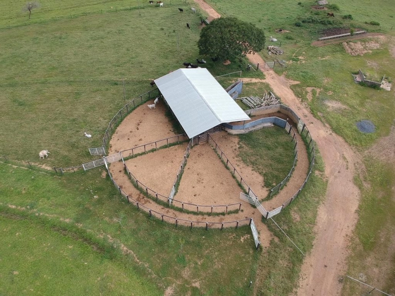 Fazenda 53,72 alqueires (260 Ha), em Alto Paraiso-GO, dupla aptidão.: 7ª foto da galeria de imagens do imóvel
