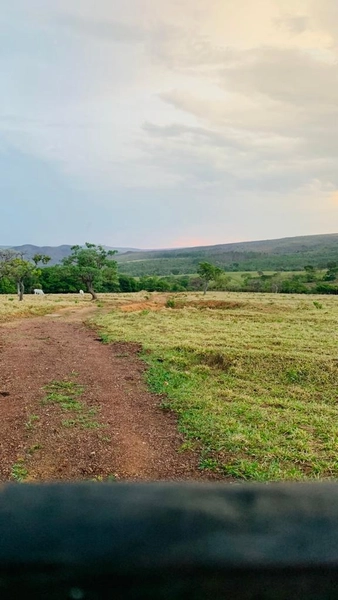 Fazenda 53,72 alqueires (260 Ha), em Alto Paraiso-GO, dupla aptidão.: 22ª foto da galeria de imagens do imóvel