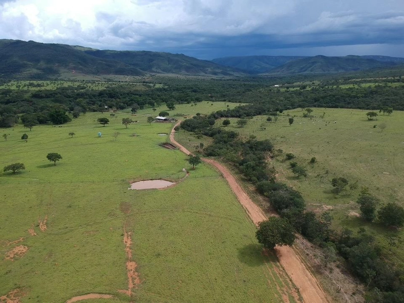 Fazenda 53,72 alqueires (260 Ha), em Alto Paraiso-GO, dupla aptidão.: 9ª foto da galeria de imagens do imóvel