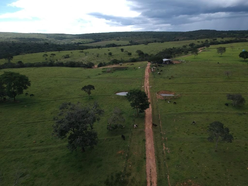 Fazenda 53,72 alqueires (260 Ha), em Alto Paraiso-GO, dupla aptidão.: 4ª foto da galeria de imagens do imóvel