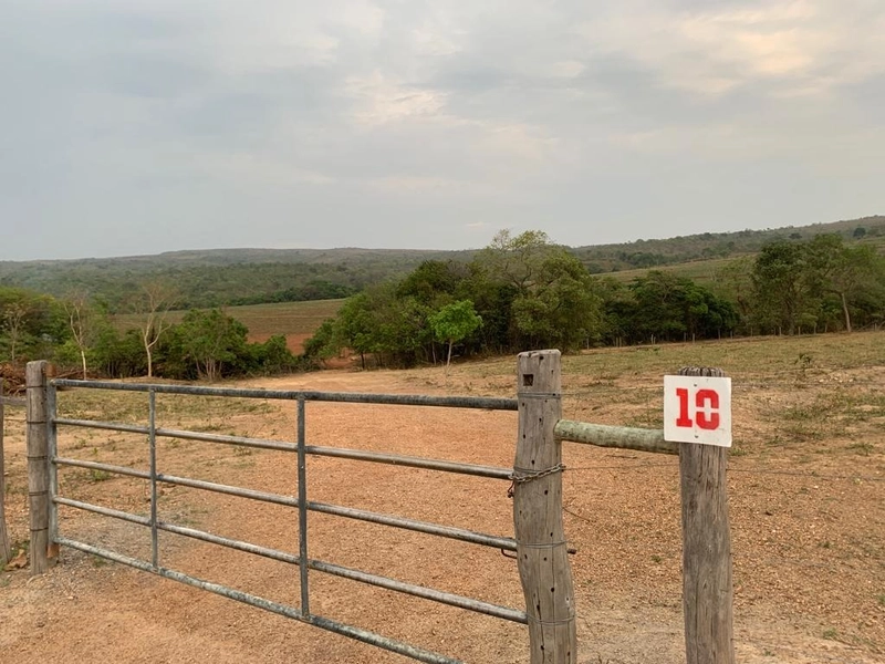 Fazenda 53,72 alqueires (260 Ha), em Alto Paraiso-GO, dupla aptidão.: 21ª foto da galeria de imagens do imóvel