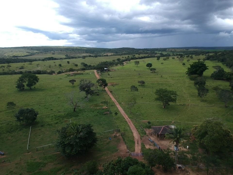 Fazenda 53,72 alqueires (260 Ha), em Alto Paraiso-GO, dupla aptidão.: 11ª foto da galeria de imagens do imóvel