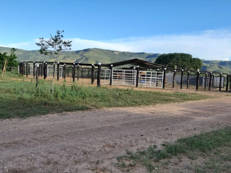 Fazenda 53,72 alqueires (260 Ha), em Alto Paraiso-GO, dupla aptidão.: 26ª foto da galeria de imagens do imóvel