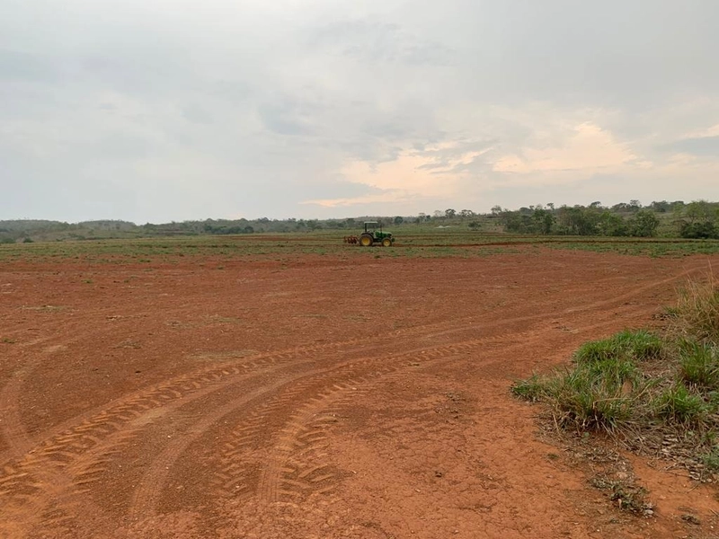 Fazenda 53,72 alqueires (260 Ha), em Alto Paraiso-GO, dupla aptidão.: 18ª foto da galeria de imagens do imóvel