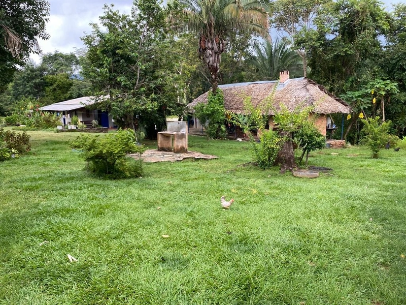 Fazenda 53,72 alqueires (260 Ha), em Alto Paraiso-GO, dupla aptidão.: 14ª foto da galeria de imagens do imóvel