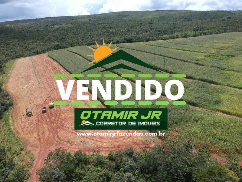 Fazenda 53,72 alqueires (260 Ha), em Alto Paraiso-GO, dupla aptidão.: 1ª foto da galeria de imagens do imóvel