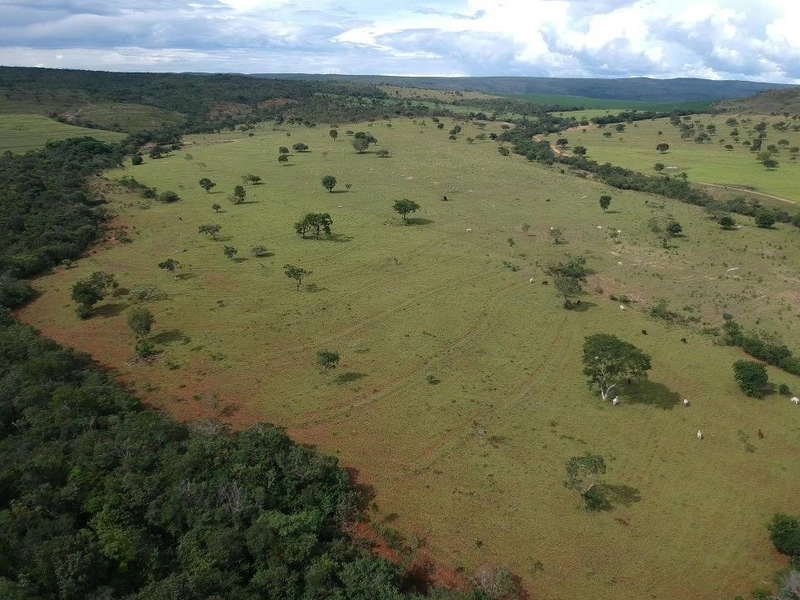 Fazenda 53,72 alqueires (260 Ha), em Alto Paraiso-GO, dupla aptidão.: 12ª foto da galeria de imagens do imóvel