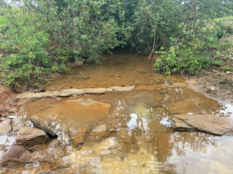 Fazenda 53,72 alqueires (260 Ha), em Alto Paraiso-GO, dupla aptidão.: 13ª foto da galeria de imagens do imóvel